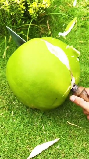 Funny Farm Moment That Made My Day 😂🌱