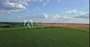 Soybeans fields in Brazil. Real farm in the interior of Brazil. Aerial image.