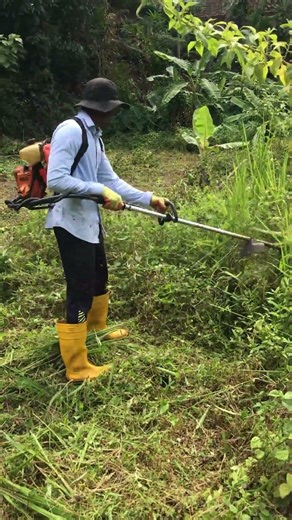 Watch Grass Vanish in Seconds! ⚡