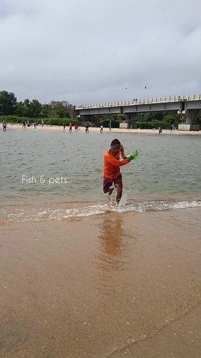 171K views · 1K reactions | Amazing Cast Net Fishing | Fish & pets | Facebook