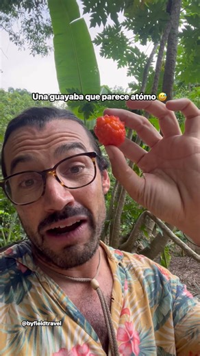 La guayaba paujil es muy exótica y se puede encontrar en Colombia #colombia #viajes #curiosidades | Christian Byfield Travel