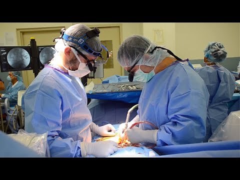 Focusing on You: Treating Pars Fractures in Young Athletes