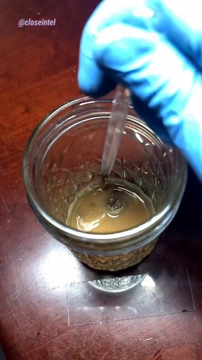 Dirt Under Microscope lol #microscopephotography #sciencephoto #scienceart #macrophotography #microorganisms #microscopy #biology #microbiology #cellbiology #microscopic #micro #microbe #dirt #mud | Closeintel