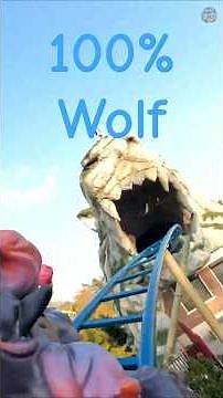 100% Wolf neue Familien Achterbahn Plopsaland Deutschland Onride POV #2026