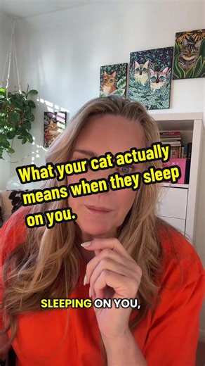 Understanding Your Cat's Sleeping Habits