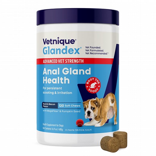 Vetnique Glandex Advanced Strength Anal Gland & Digestive Health Supplement Soft Chews for Dogs, 120 ct