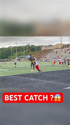 Insane One Hand Catch… Did You See That?! #footballhighlights