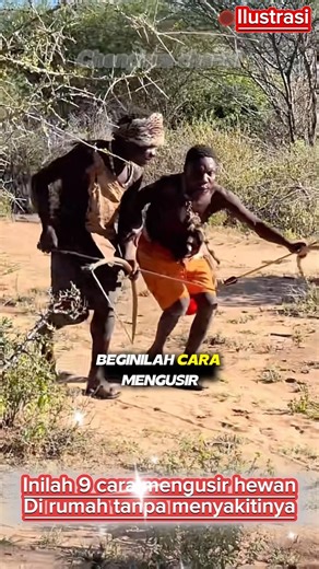 Here are 9 ways to repel animals without hurting them #repelanimals #natural #shortvideo