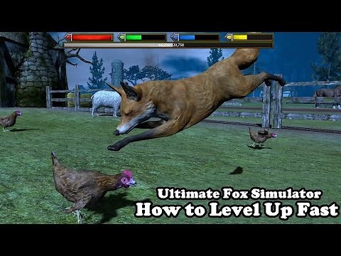 Ultimate Fox Simulator Gameplay : How to Level Up Fast