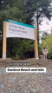 Sandcut Beach: A Vancouver Island Gem 🌊💧 NearMe Victoria To visit Sandcut Beach, head west from Sooke along Highway 14. Park at the small lot marked Sandcut Beach and take the easy 10-minute trail through a lush forest. The path opens up to the rocky shoreline, where you’ll want to turn left.Walk along the beach to discover the stunning Sandcut waterfalls, where water cascades dramatically over sandstone cliffs and spills directly onto the beach. For an extra touch of magic, you can even walk 