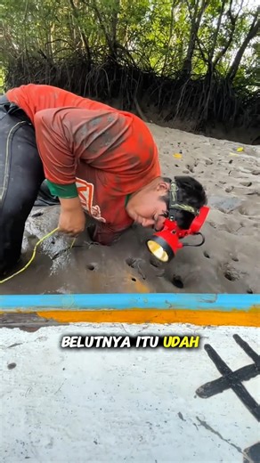 how to trap estuary eels using rope