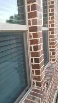 Inspecting Hail Damaged Windows & Fence: Rear Elevation - Part 2