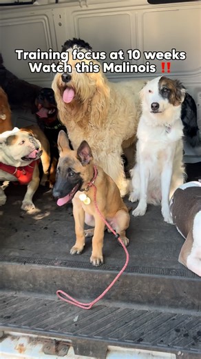 277K views · 1.9K reactions | Impulse control isn’t just a nice skill...