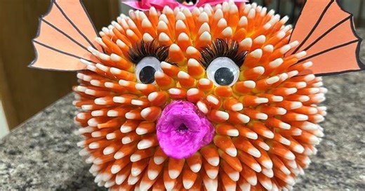 Winners crowned in 9 News pumpkin carving contest