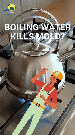 Does boiling water kill mold?