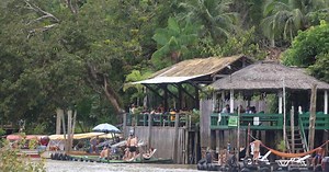 Ilha do Combu: veja como ir, quanto custa, onde fica e o que fazer