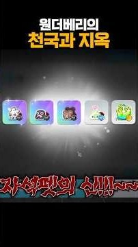 자석펫의 신과 X신 #메이플 #자석펫 #메이플스토리