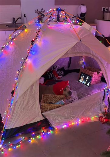 Gucci-themed Instagram Story Ideas and Fun Reactions