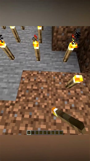 Secret Tricks in Minecraft #minecraft