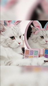 Cute Cat Doing Makeup Tutorial