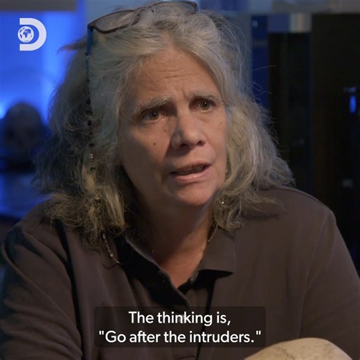 Did dozens of Irish immigrants really die of disease, or were they murdered? ⚰️🍀 #SecretsOfTheUnderground | Discovery Channel UK