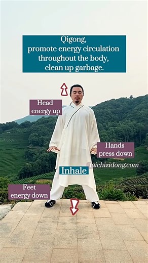 Qigong promote energy circulation_The body is a system, recommended full body practice, more healthy to you #health #chineseculture #healthtips #healthandwellness #healing #healthylifestyle #healthcareprofessionals | Zidong Taichi