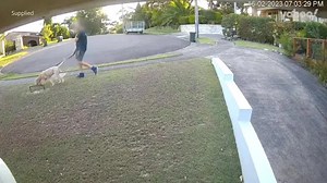 Can you see why this dog owner's act has caused outrage?