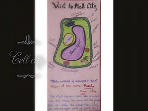 Grade 8 Science student Minathi applied an analogy, such as a city or museum and a cell and any ten cellular organelles as different places within that city or museum. The culmination of this project is usually a cell travel brochure, an assignment in which students used their knowledge of a cell to make a brochure on all the cell city’s attractions. • • Kothari International School Address : Tulaja Bhawani Nagar, Kharadi, Pune Contact no : 84460 31010 / 97670 16996 • • • #kothariinternationalsc