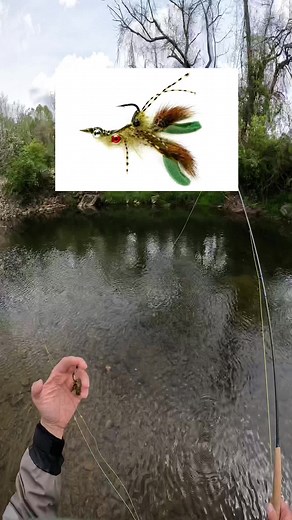 Cliff note video from previous post. Cray fish are on the move. Don’t forget to throw them in creeks during the spring. Even trout will feed on them! #flyfishing #fishtok #flyfishingtrout #trout #crayfish #fishingfly #flytying #flytyingjunkie #flyfishdelawhere #fishermen #fisherman #flyfish #rainbowtrout #fishingfun #fish #fishing #fishingtime