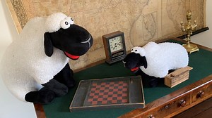 Woodrow Wilson Library sheep part of new educational program