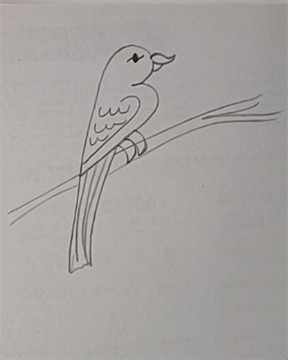 how to draw a simple bird drawing/ very easy and simple drawing tutorial