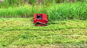 Cheap Remote Control Mini Garden Machine Robot Grass Cutter Automatic Lawn Mowing Machine Lawn Mower