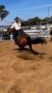 63K views · 1.6K reactions | ✨ Day 4 – ABCRA Australian Campdraft...