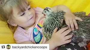 155K views · 3.7K reactions | It's so heartbreaking that children are ever taught and encouraged to stop loving animals. | Moby | Facebook