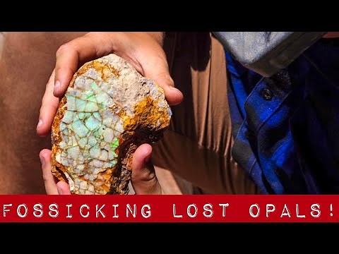 Fossicking Lost Opals!