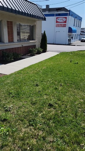 RESIDENTIAL AND COMMERCIAL LANDSCAPING SERVICES...MULCH INSTALLATION 💯💪🏾