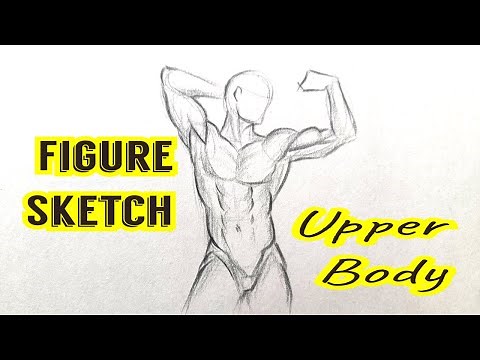 How to draw Human Figure Drawing ( Upper Body Male) | How to draw Bodies step by step For Beginners