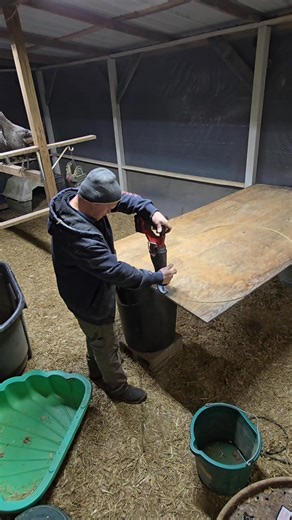 Upgraded our old water trough brooder with a lid and heat lamp. Love how this turned out and excited to put it to use this spring. 👏 #brooder #chicks #poults #homesteadprojects #repurposing #headingtonhomestead #springchicks | Headington Homestead