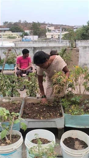 I am removing all the dead trees.