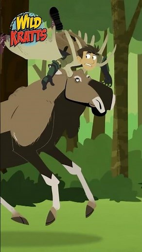 Accidental Moose Transformation | Wild Kratts