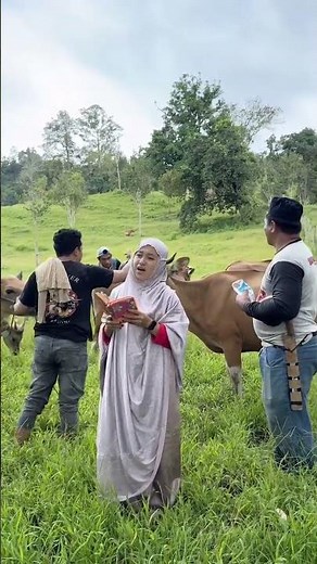 ternak sapi, sapi perah, peternakan sapi, cara ternak sapi, sapi potong, bisnis sapi, pakan sapi,