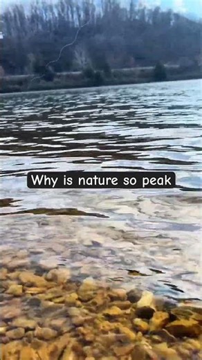 Nature is therapy #minecraft #therapy #calm #nature