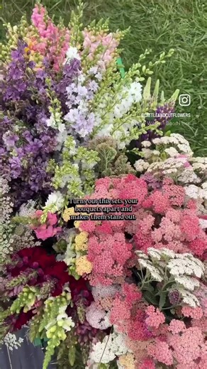 Want your bouquets to stand out? Grow fun, funky, and unique fillers and spikes that you won’t find at the grocery store, in the average home garden, or at Suzy’s stand down the road. Everyone grows dahlias, zinnias, and other focal flowers. But choosing distinctive varieties and colors of fillers and spikes is what truly sets your bouquets apart. It’s what makes local florists come back for stems and customers say, “Ooo, I love that flower… what is it?!” Here are some of the flowers I grow in a