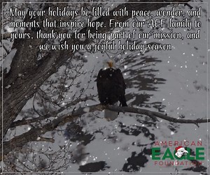 American Eagle Foundation on Reels