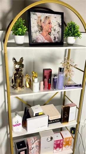 Creative Bookshelf Organization Ideas for Home Decor