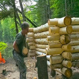 2K views · 43 reactions | building a tiny rustic wilderness log cabin (episode 10) | House Mountain Nature | Facebook