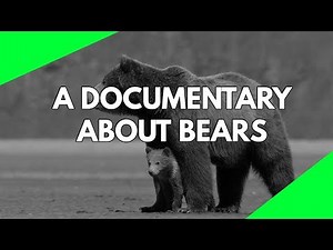 Wildlife Documentary: A full length documentary about the life of Bears HD