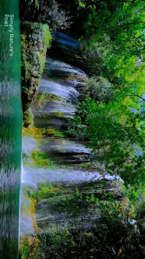 Waterfall ASMR #healing #asmrrelax #nature #scenic #waterfalls #asmr #soothing #calm #zen