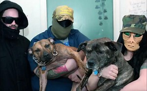 美国双雌性比特犬主唱狗狗碾/死碾/碾核乐队 Caninus - Now The Animals Have A Voice 完整版试听