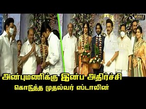 Anbumani Ramadoss Daughter Marriage Reception visits CM MK Stalin, Udhayanidhi, Duraimurugan